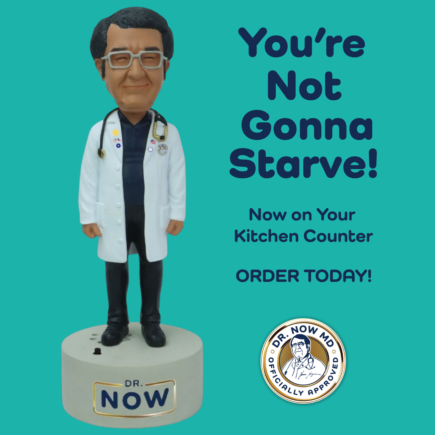 Dr. Now Official - Talking Bobblehead